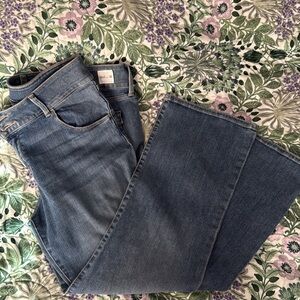 Hudson Jeans Classic Blue Denim